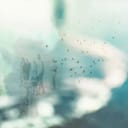 Bright Among the Bloom