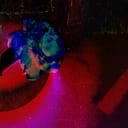 Coloratura Contralto