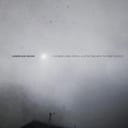 A Little Time With The Tree's Root