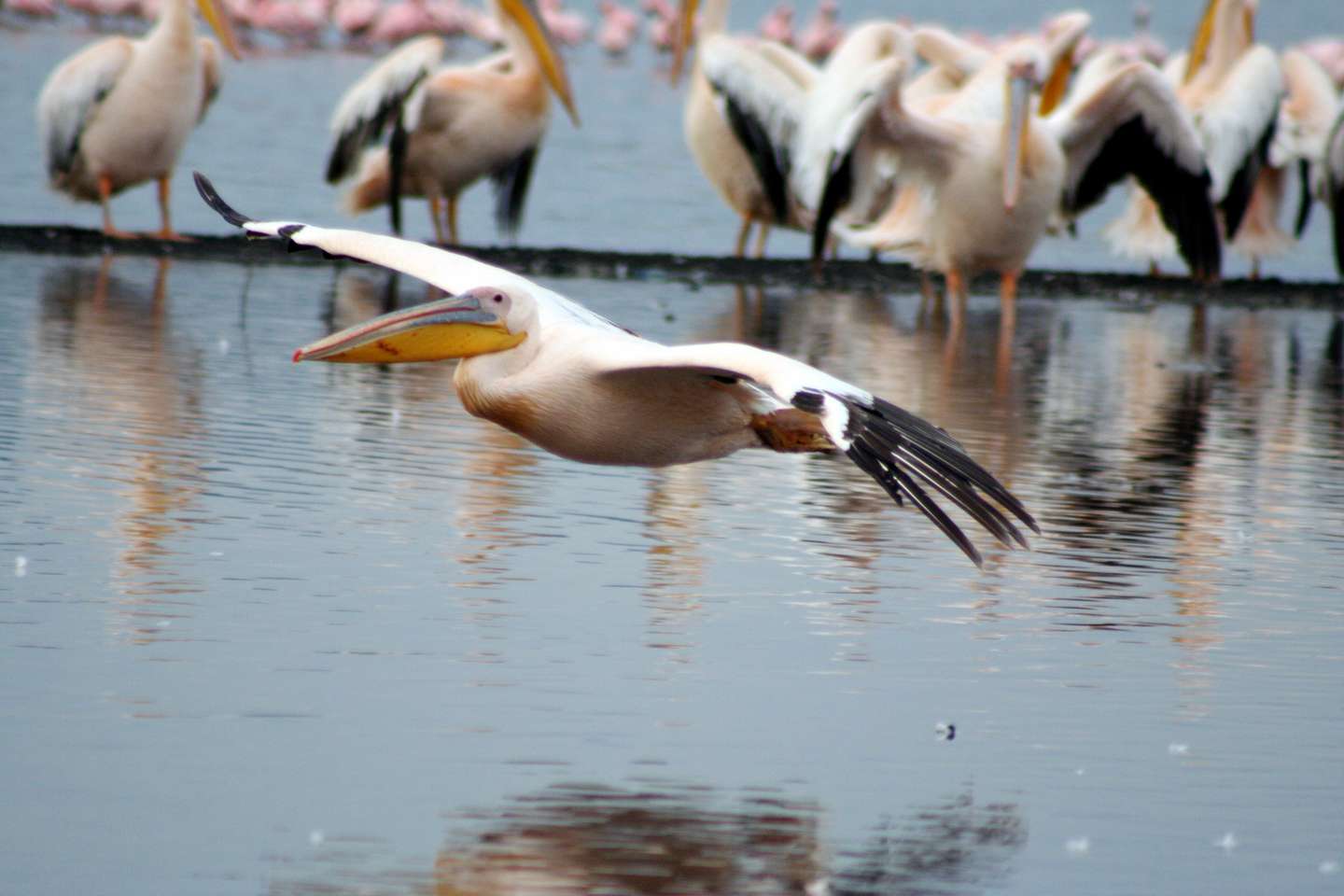 四旬期第一週星期五