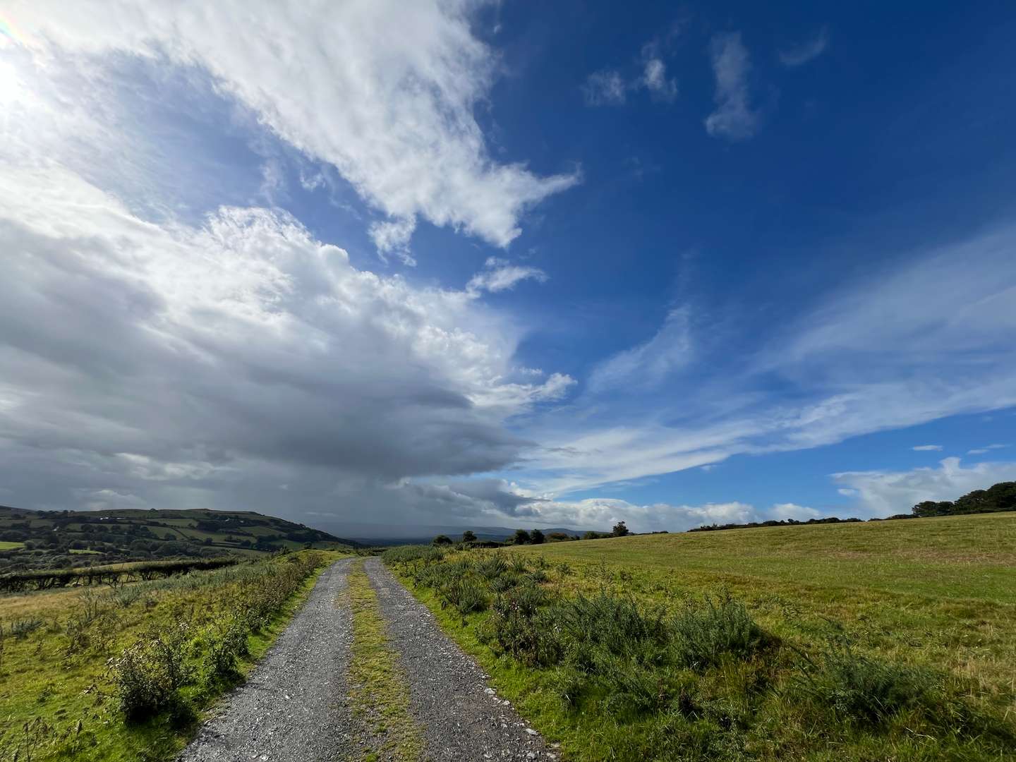 常年期第六週星期一