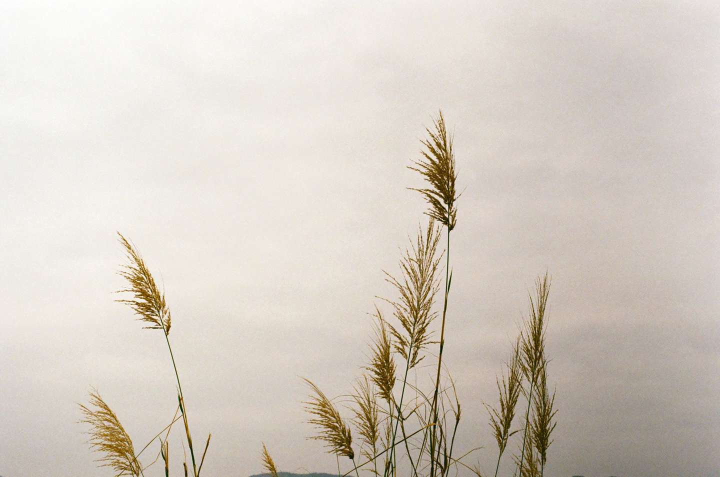 The generous God of surprises