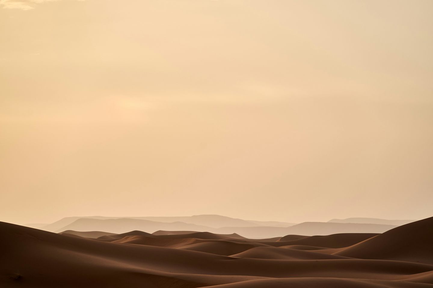 The path of discipleship