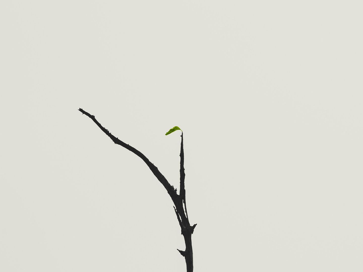 St Ignatius & The Spiritual Exercises