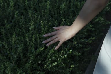 Making sense of the application of the senses