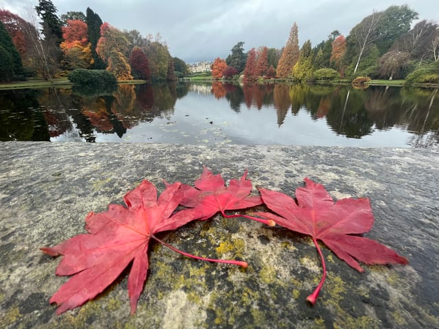 常年期第24 週星期一(聖母痛苦紀念日)