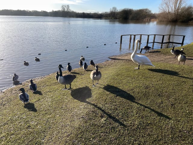 四旬期第3 週星期一