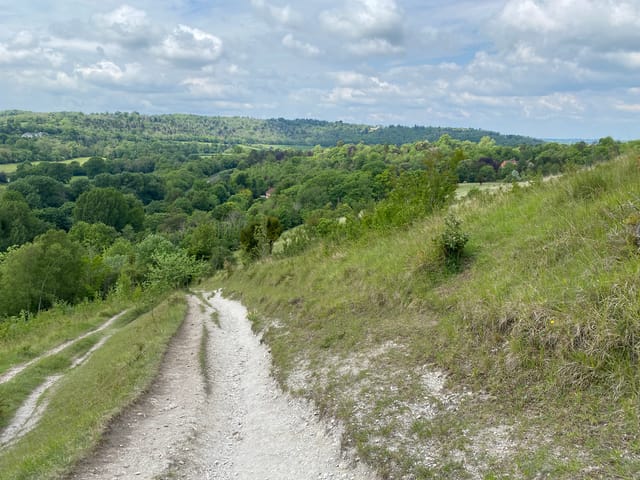 四旬期第二週星期五