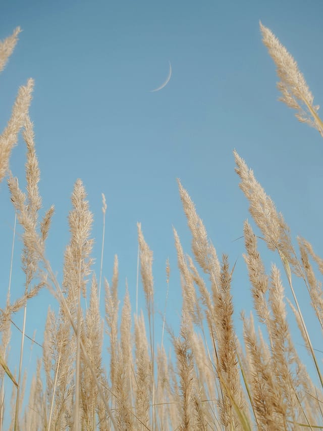 Brought from death to life