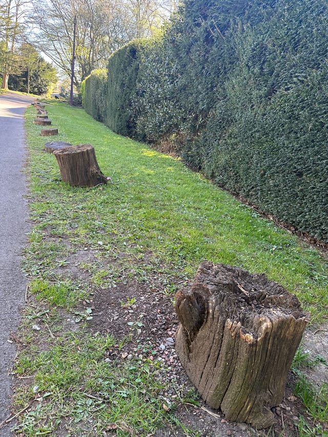 復活期第四週星期五