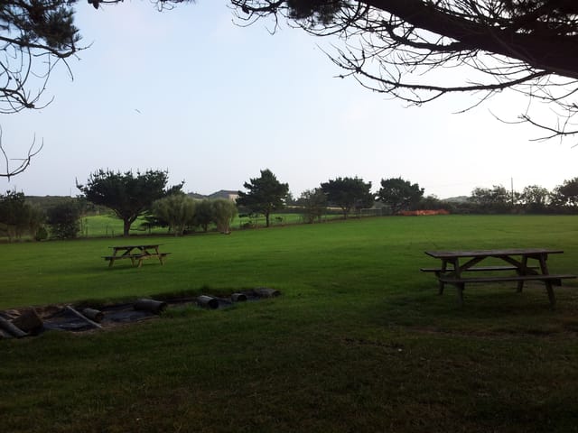 常年期第一週星期五