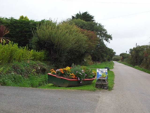 常年期第二週星期五