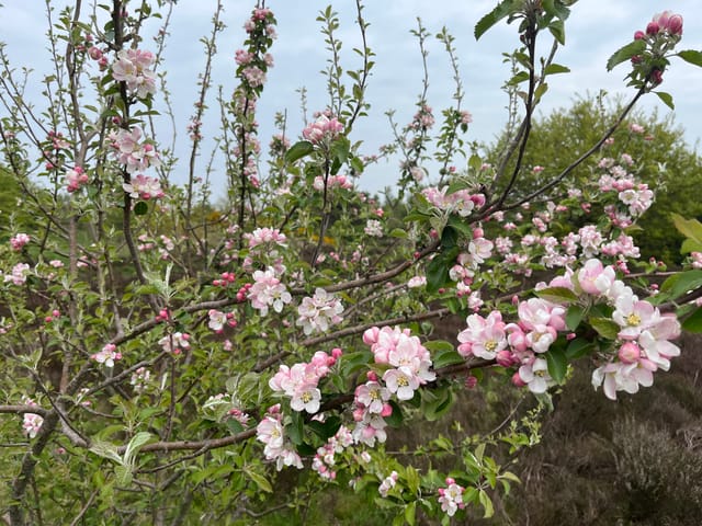 復活期第6 週星期一