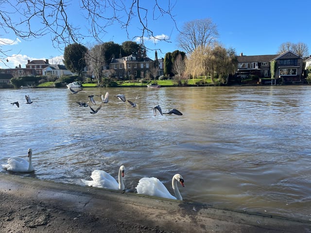 常年期第23 週星期一(聖母誕辰)