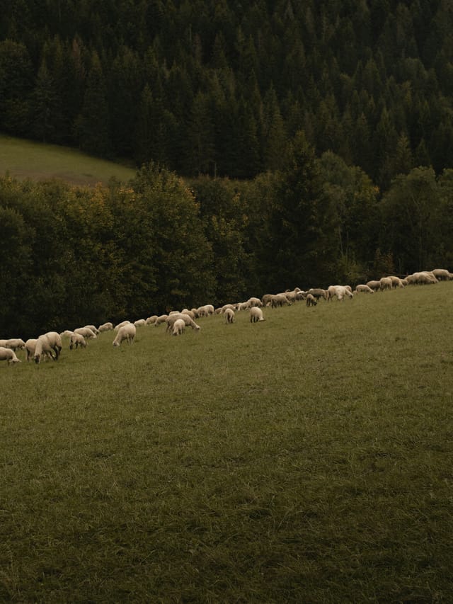 Filled with the Holy Spirit