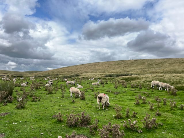 復活期八日慶期星期一