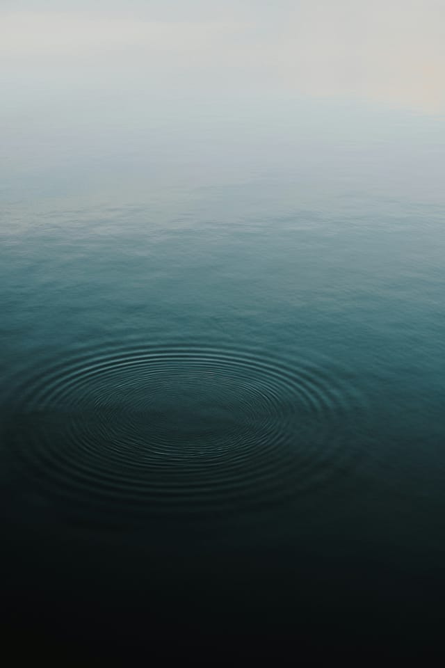 Your hearts will rejoice