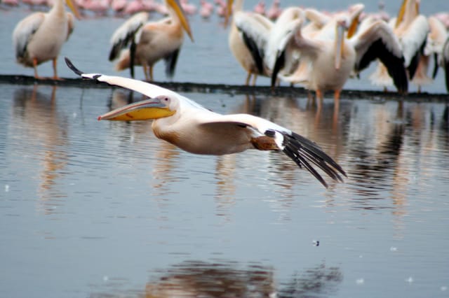 四旬期第一週星期五