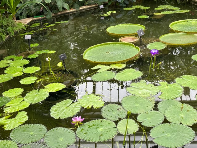 將臨期第3 週星期一