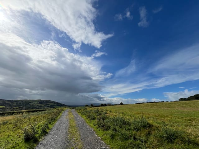 常年期第六週星期一
