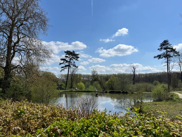 常年期第21 週星期一