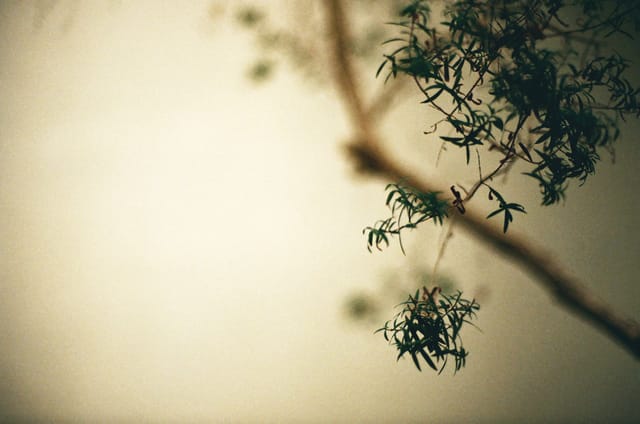 Half of my possessions