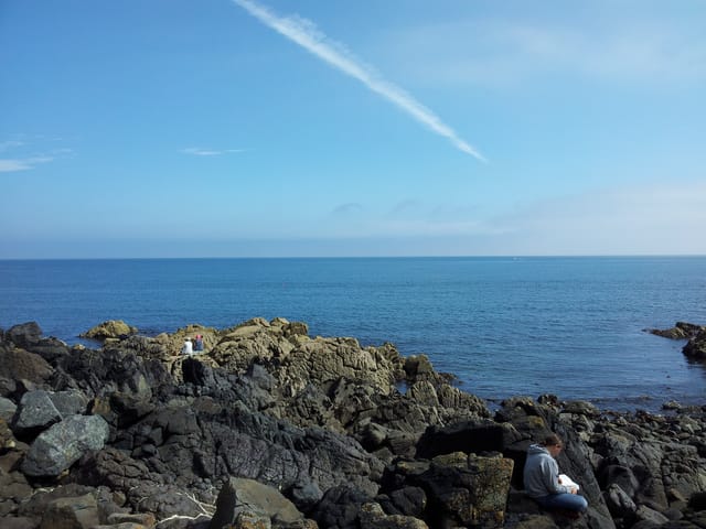 主顯節後星期五