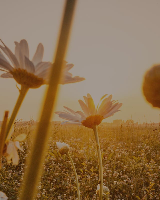 15 Rules for a Good Life