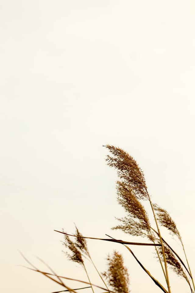 The days drew near