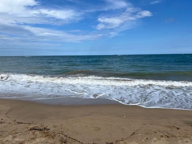 常年期第11 週星期一