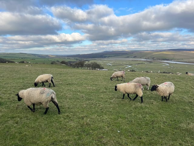 復活期第5 週星期一