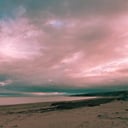 Shores