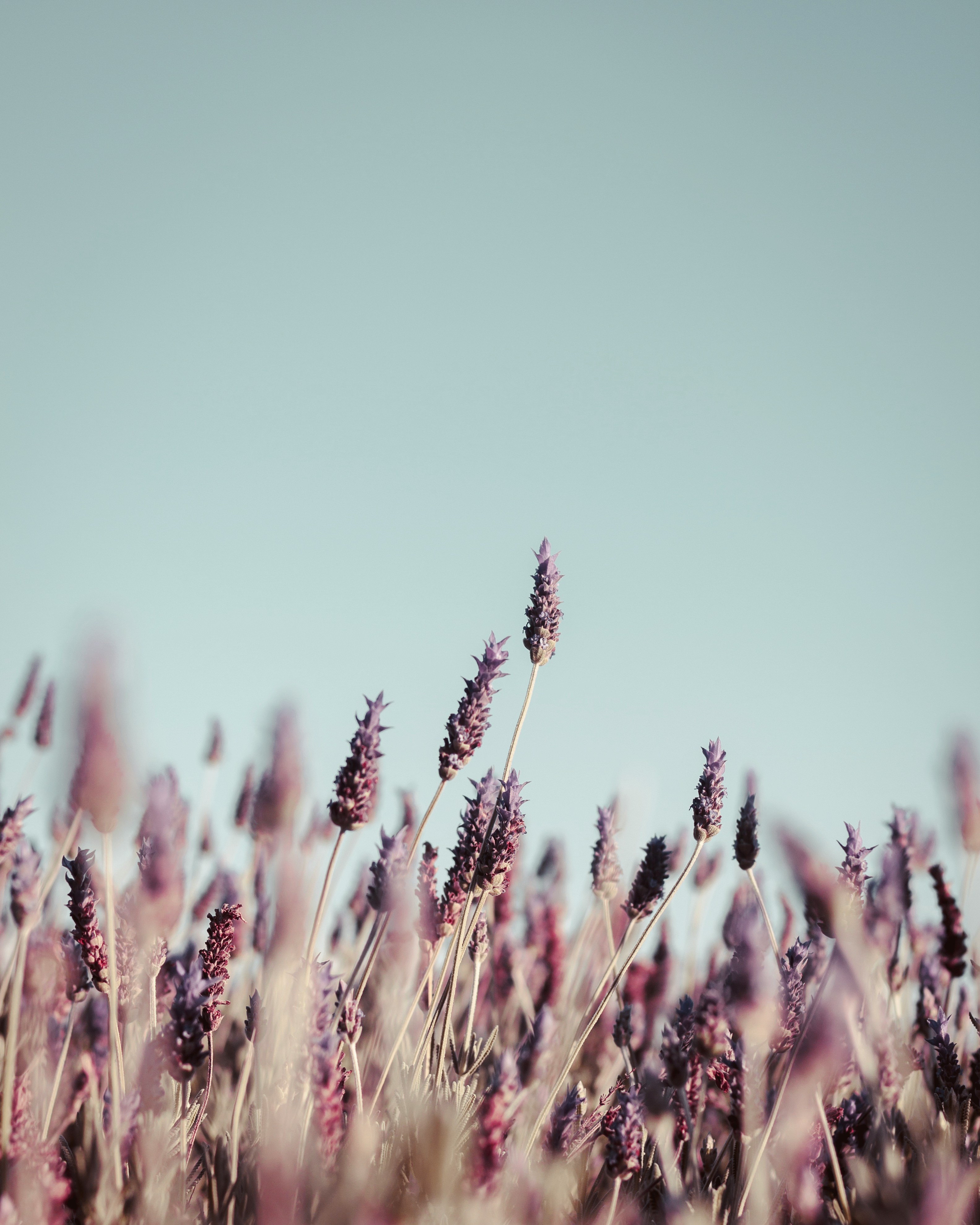 Reimagining the Examen