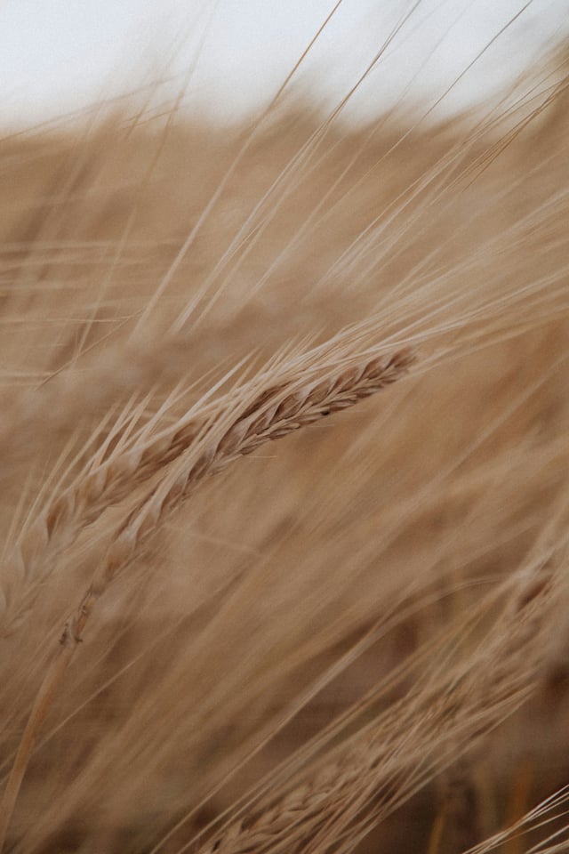 A windy day